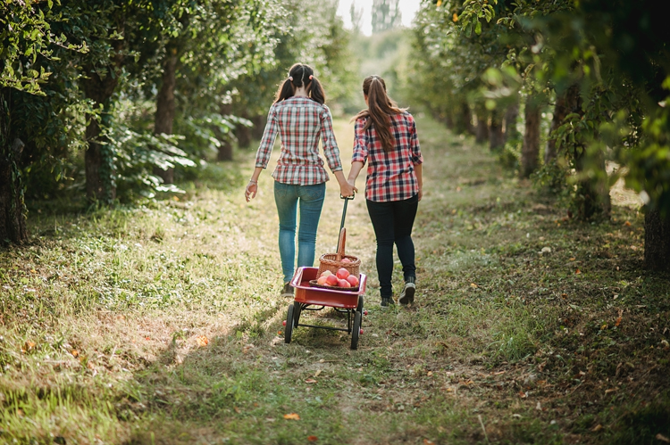 Plan Your Next Photo Shoot for Stock in 10 Easy Steps — Network|750x499